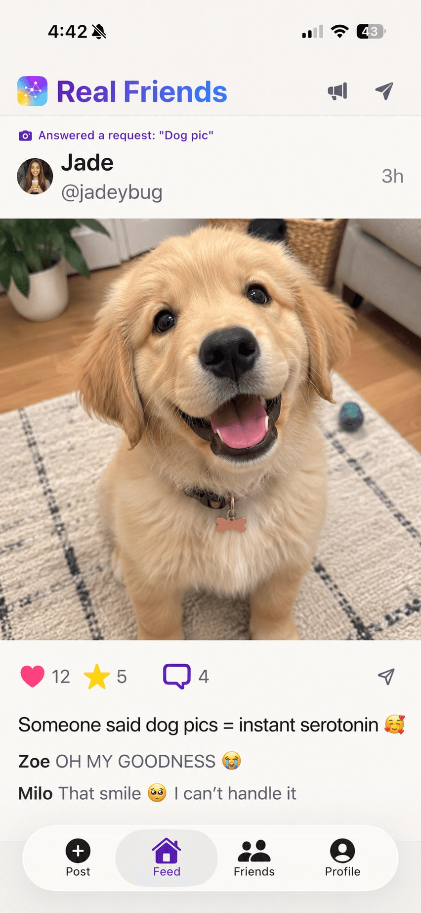 Real Friends feed showing a golden retriever puppy post answering a Dog pic request